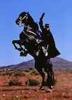 Zorro Zorro